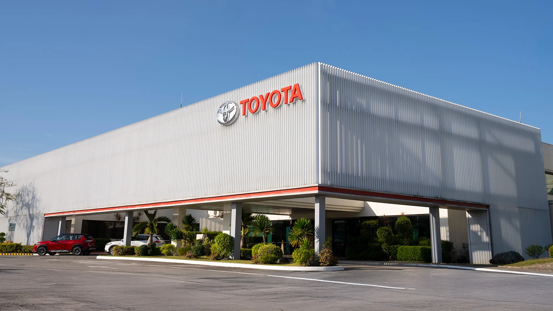 Page Background Banner